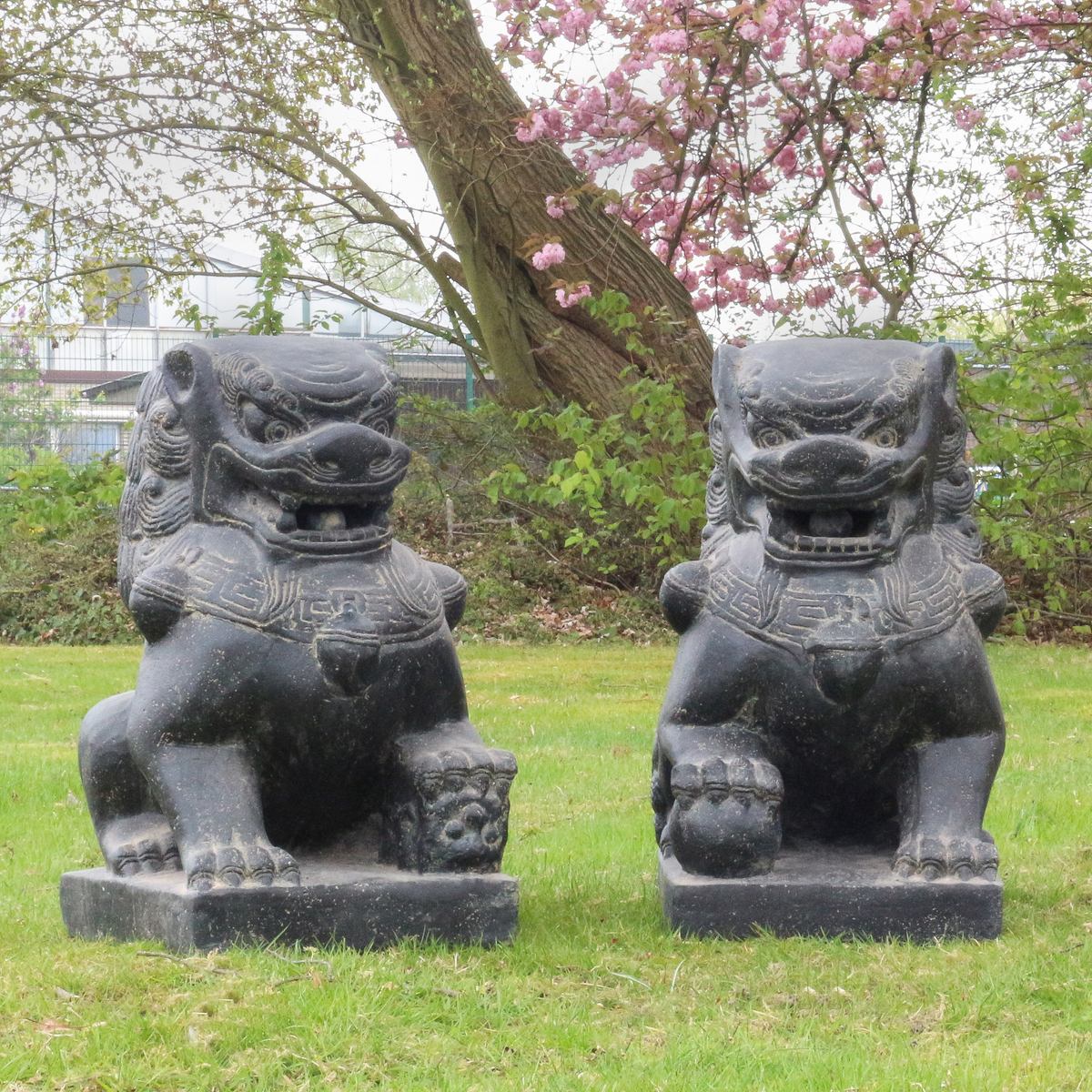 Einzelner Tempelwächter Löwe Shishi Fu Hunde Wächter Löwen Hund Skulptur Steinfigur Figur Links oder Rechts 60 cm